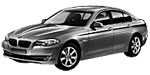 BMW F10 P1E1B Fault Code